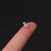 Rough Rod Earring Screw Stainless Steel Double-Sided Screw Earring Nail Female