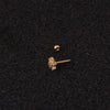Rough Rod Earring Screw Stainless Steel Double-Sided Screw Earring Nail Female
