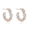South Korea Dongdaemun Earrings Female Simple Temperament Micro-inlaid Zircon Earrings