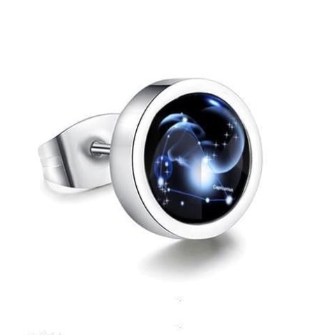 Twelve Constellation Luminous Earrings