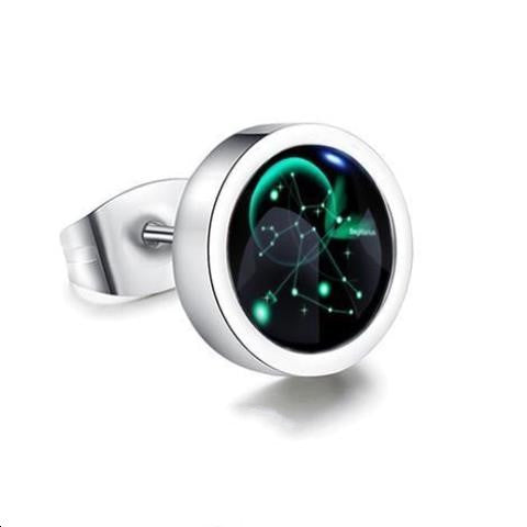 Twelve Constellation Luminous Earrings