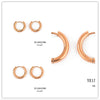 Classic Round Hoops Earrings