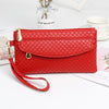 New Women's Hands Hold Fashionable Korean Bags