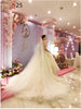 Bridal Wedding Dress Long Tail Luxury Super Fairy Wedding Veil